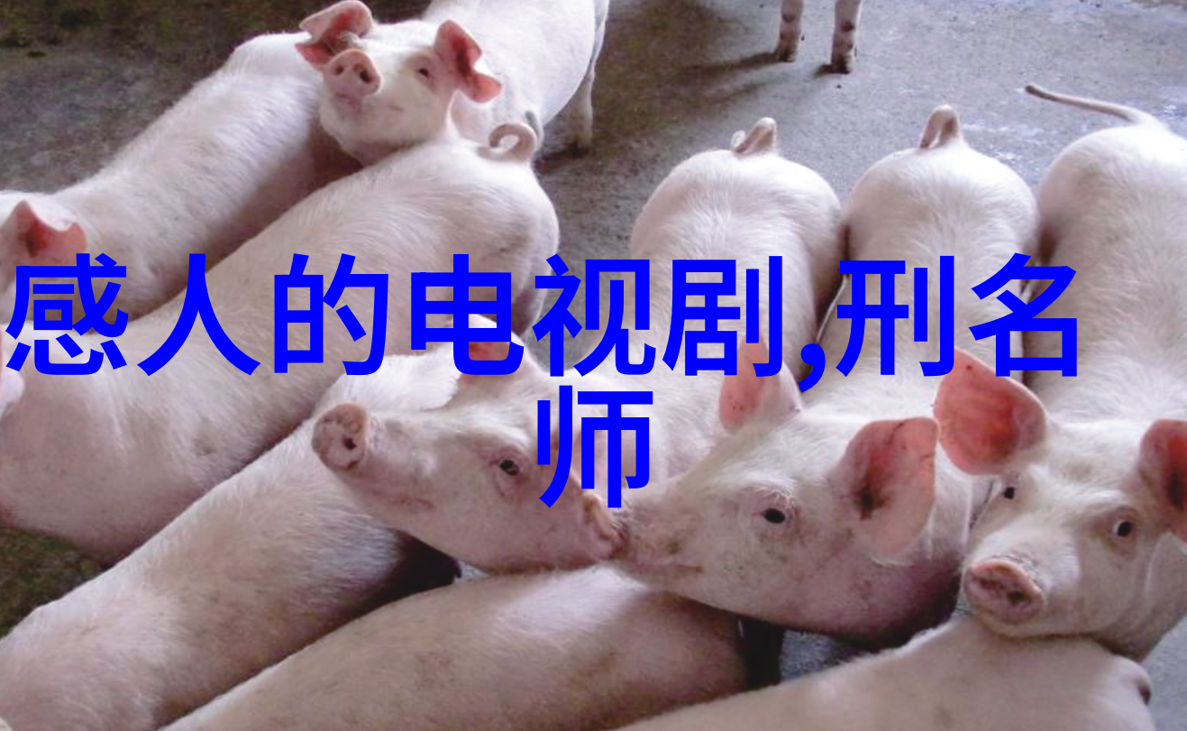 易经卦象图详解揭秘古代智者如何用八卦预测你的咖啡选择