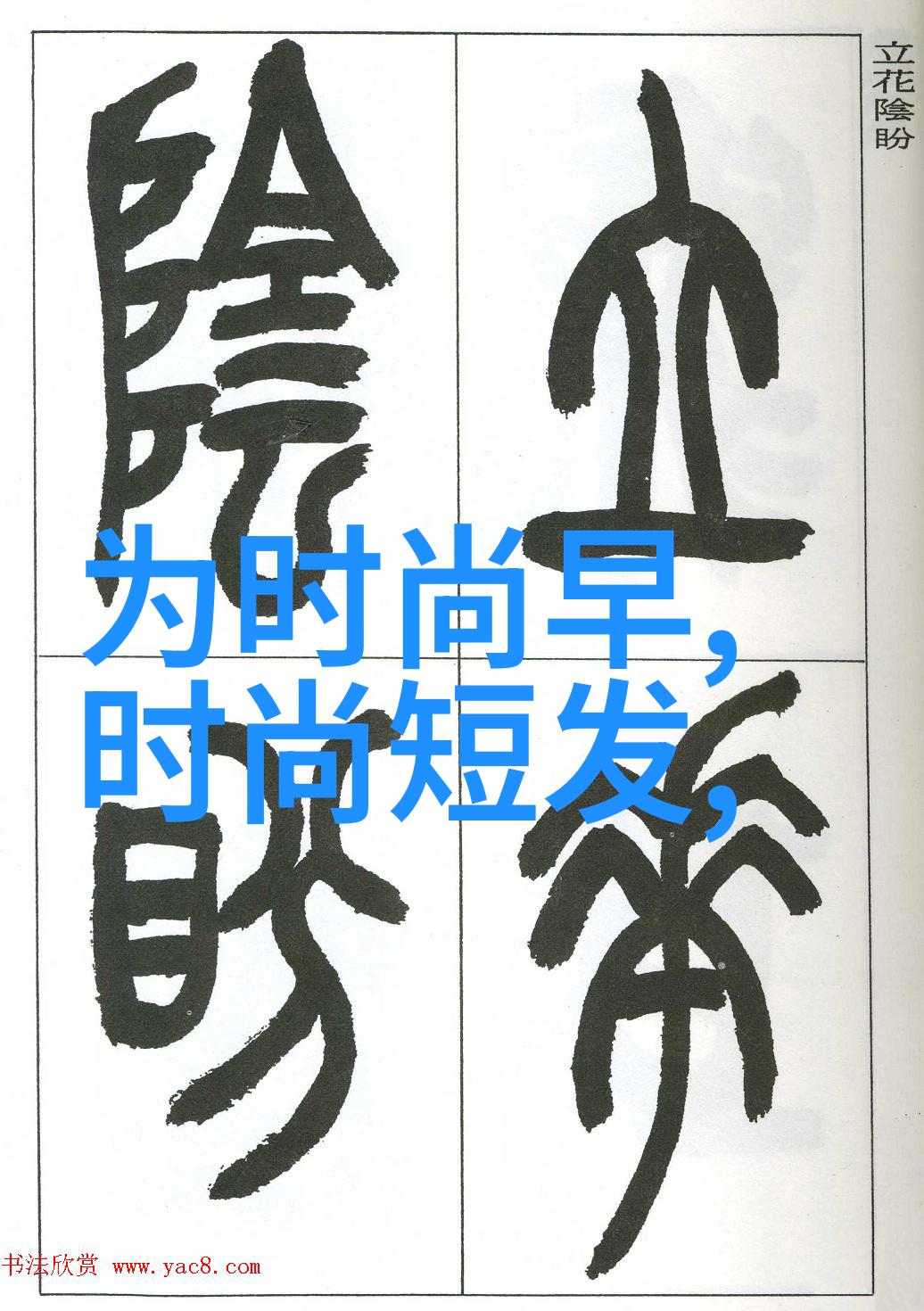 写真馆镜中影像与社会记忆的交响