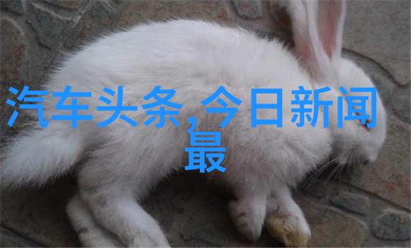 台湾妹中文娱乐网-探索台湾妹的魅力从影视到音乐的多元娱乐世界