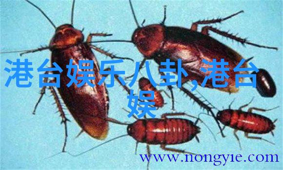 女神的秘密武器美女性感写真的幽默挑战