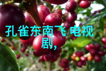 乳房写真我是如何一次次被它的魅力征服的