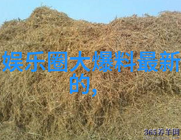 时间旅行者在手机屏幕上的寻宝之旅看完这些微信头像是必备的时尚元素之一