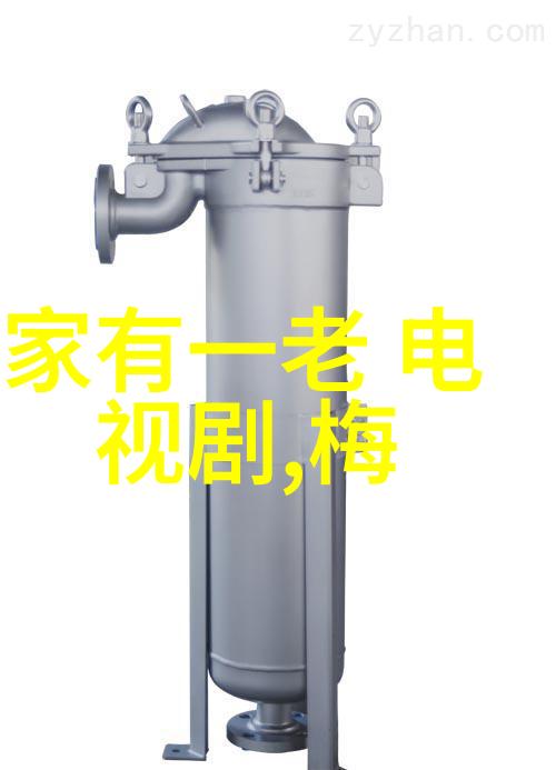 捕捉瞬间的艺术写真机的魅力与创意应用
