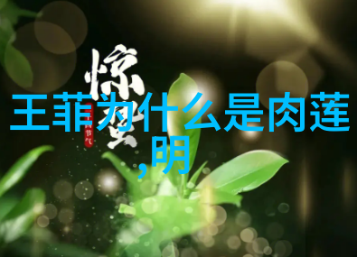 艺术与摄影-rosi写真捕捉时尚之美的瞬间
