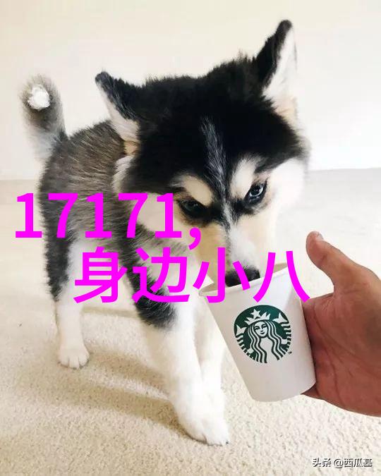 网红雪梨的逆袭从傻到闪耀的舞台
