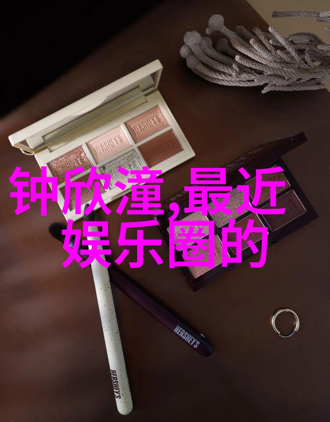 那英宣布退出娱乐圈了网友们都在讨论她到底什么时候会再次出现在公众视野呢