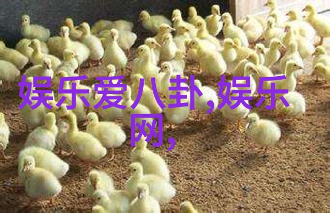 河南头条网王紫璇嘉人与Tory Burch的时尚大戏双重自我在舞台上闪耀