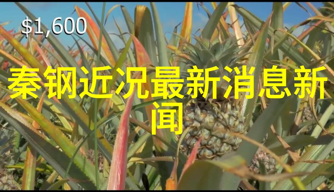 b站私人直播间设置Bilibili私人空间配置