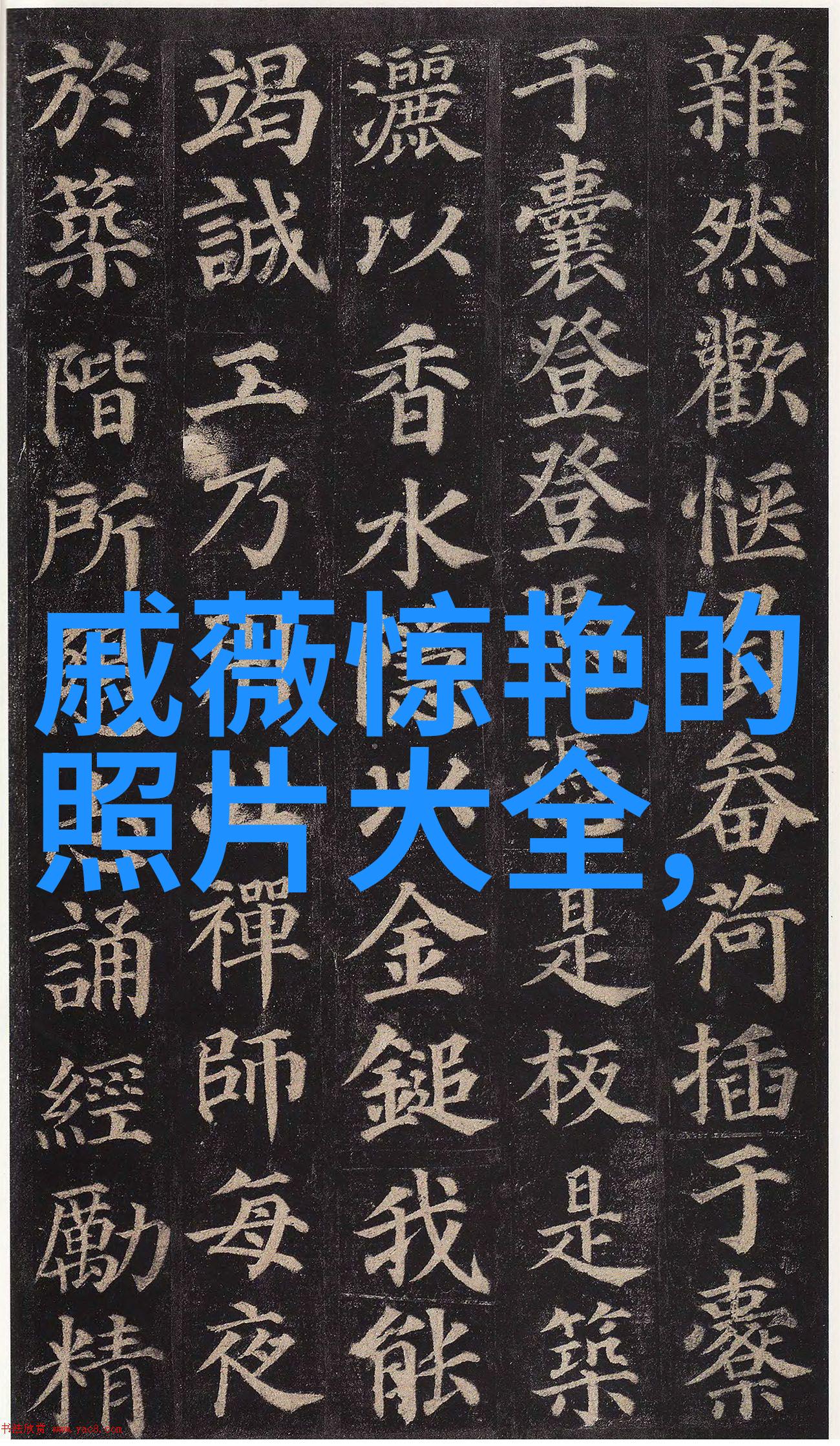 电影中隐藏的真相一切都是巧合吗