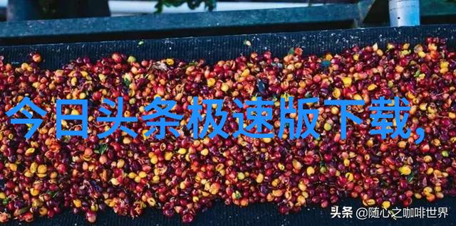 音乐世界末日旋律不听音乐还能干吗主题歌曲盘点