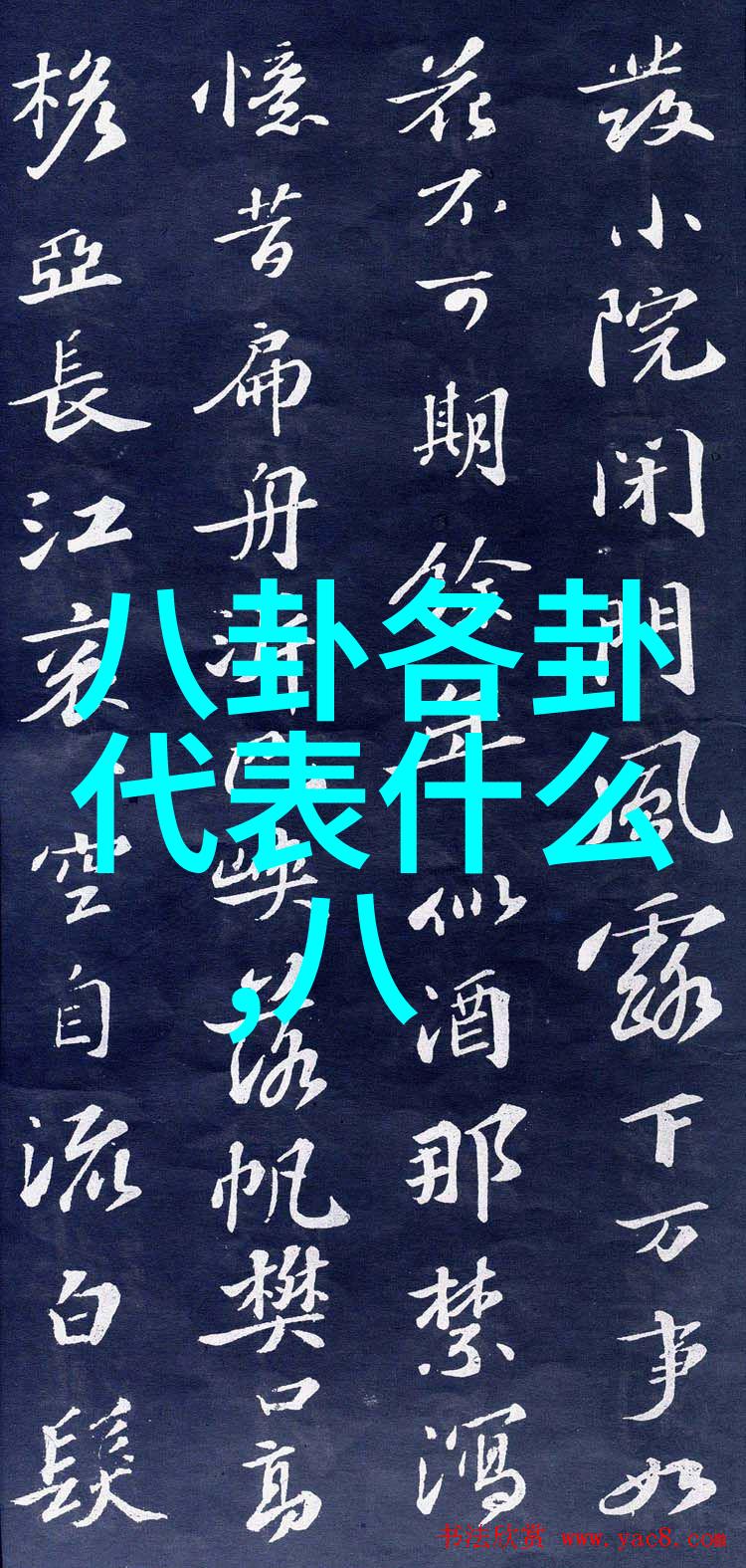 青春偶像的热度肖战与杨紫的合作迷人世界