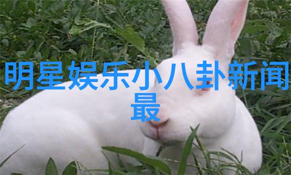 从屏幕到现实将精彩的山水图片转化为生活体验