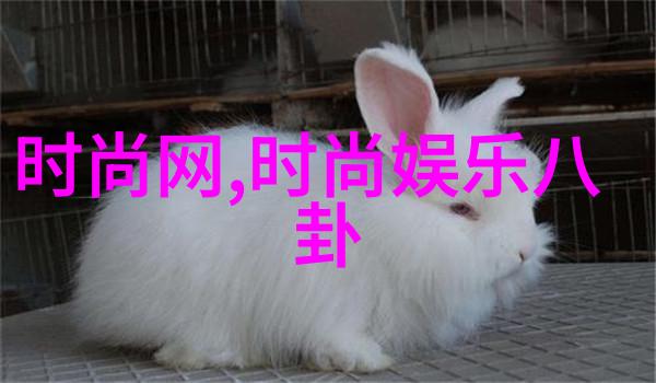 写真写真写真我如何用相机拍出世界上最真实的假象