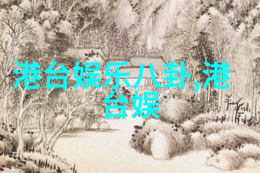 韩国综艺节目中的文化冲突与对话机遇