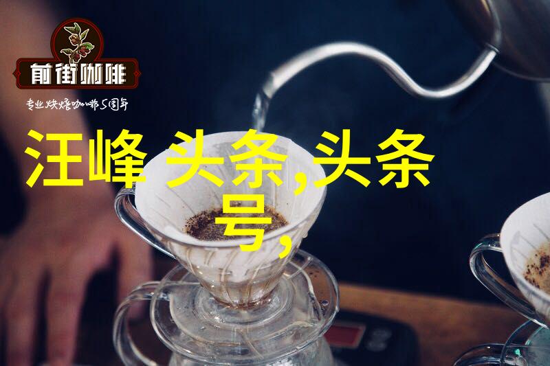 电影网站-飘花电影网探索影视文化的新窗口