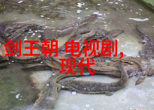 静谧的镜头苍井空的写真艺术
