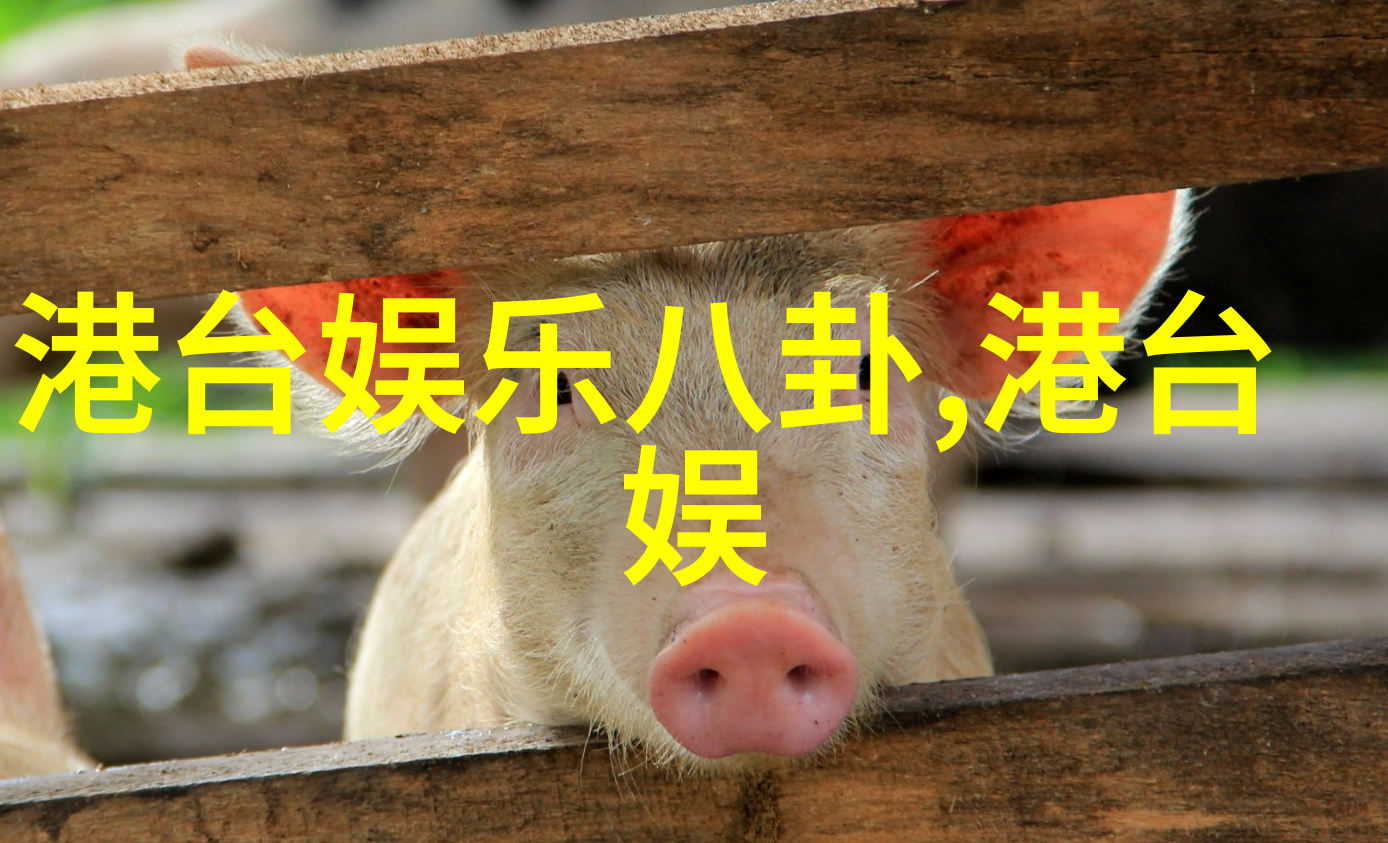双手掌握未来单手拨动往昔