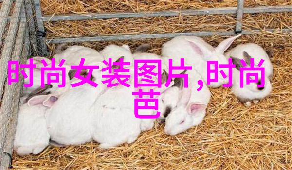 图优网呈现大耳狗天空梦境生日茶会萌力爆棚了吗这场精彩回顾你准备好心动了吗