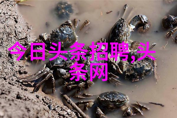今日焦点全球经济复苏头条全解析