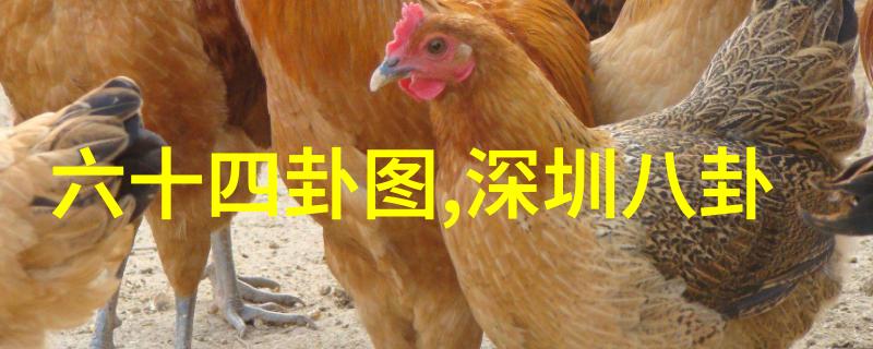 郑欣宜的个人资料介绍就像22232轴承一样精准无误直到她多大才能继承母亲全部遗产这个问题就像是一个未