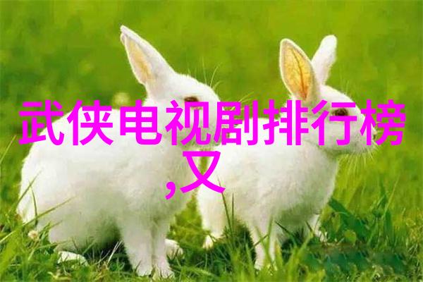 写真机拍照技巧掌握写真机的各种拍摄技巧