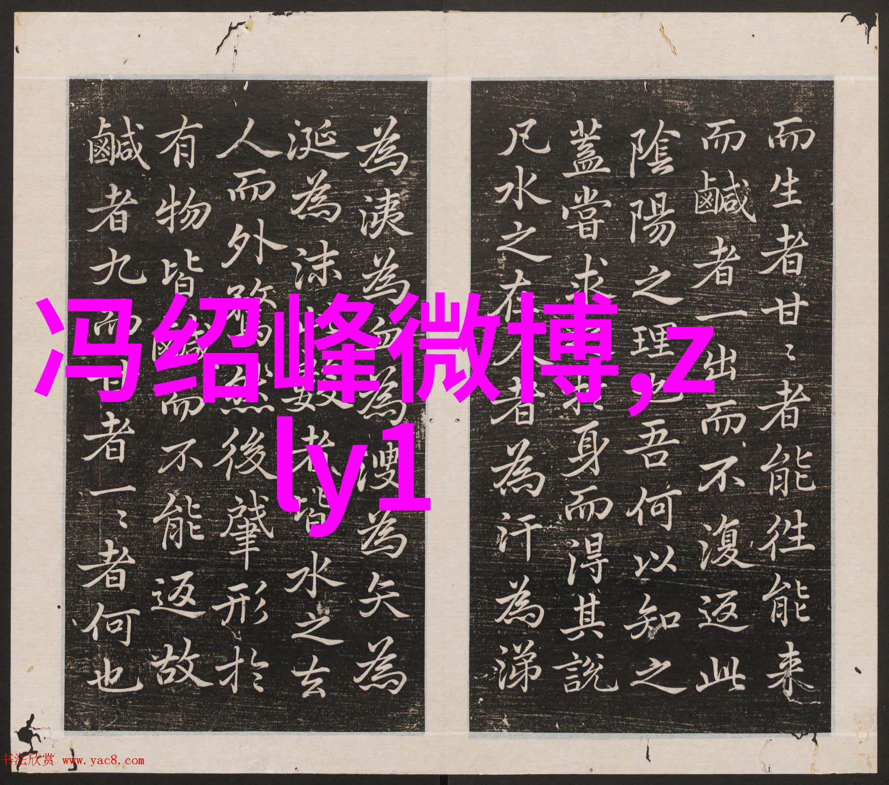 揭开真相的序幕