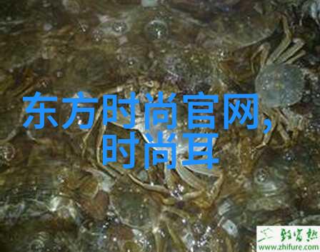 今日头条自媒体朱亚文怀抱女儿玩旋转木马表情夸张被调侃是幼稚大叔反复显现父子情深