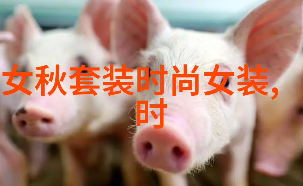 夏日暖阳下的心情夏日心情暖阳之下