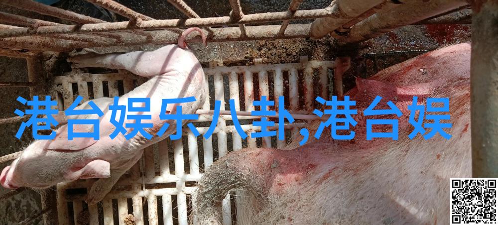 西游记再现第六期收视大热蔡卓宜陈越约会遭遇冷漠原来他们的爱情故事也需要经历一番取经才能成功