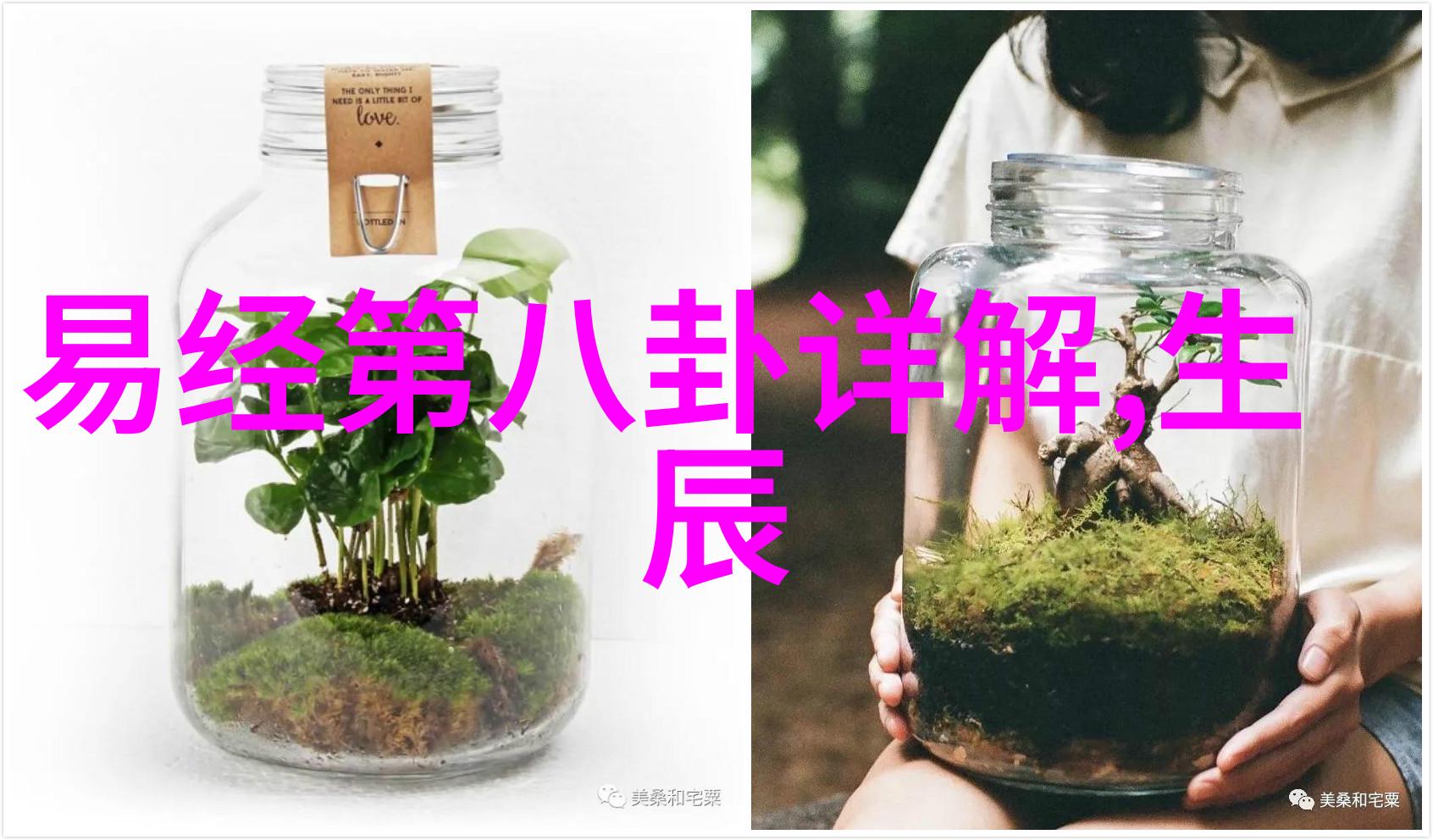 写真是啥-文字的力量从笔尖到心灵深处的旅程