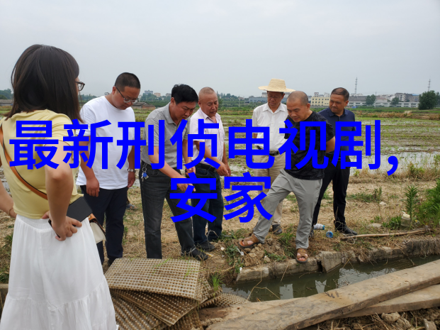 爱情指南免费测婚姻最准揭秘双人星座配对大师