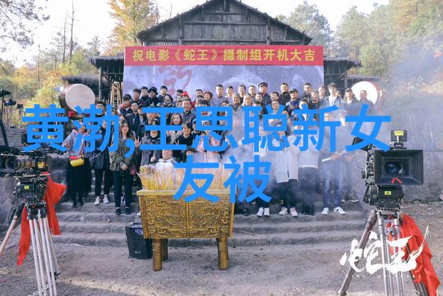 为有暗香来电视剧我家的味道揭秘那些隐匿的家庭美食