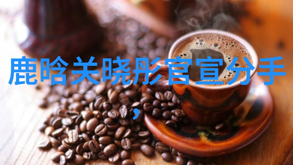 无间 电视剧-揭秘无间背后的复杂情感与精妙推理