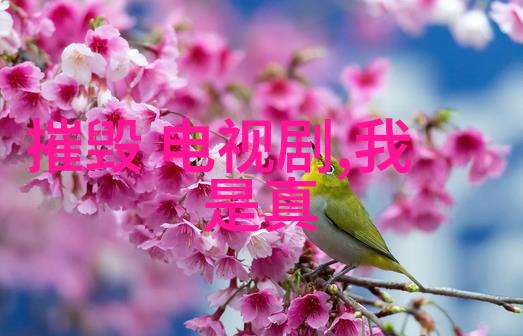 机器的泪声亲手买来的机器背后的故事
