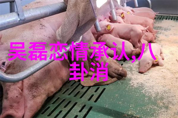 性别平等种族问题和社会正义在最新一批独立艺术家手中的表达方式及其意义是什么