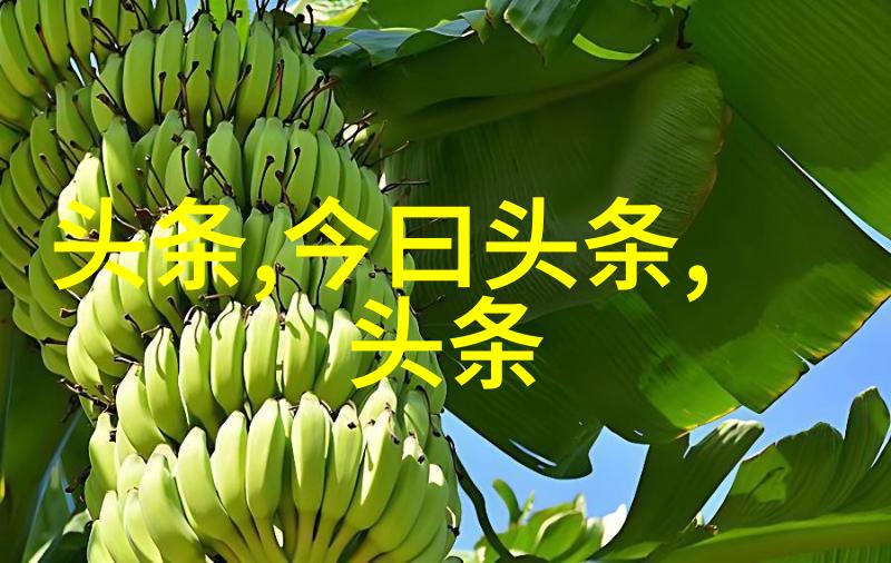 沙雕网名女怪我人丑腿短有意思的扣扣2022