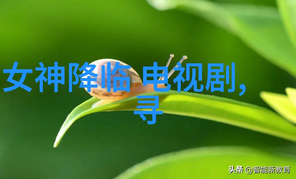 方位八卦解析其在中国文化中的地理意义