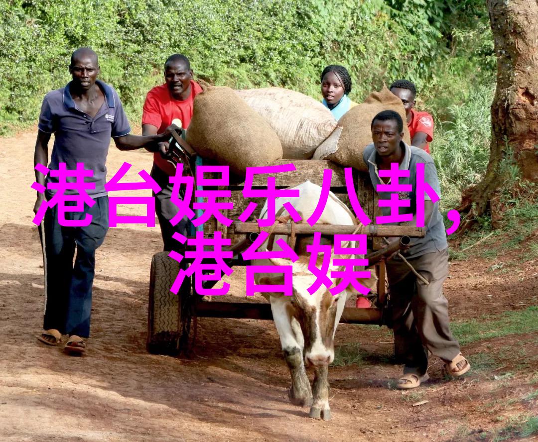 民间盖房用的八卦图我的祖父的秘密武器