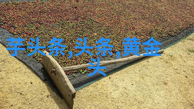 美人妻子的秘密生活亅U乚一596的背后故事