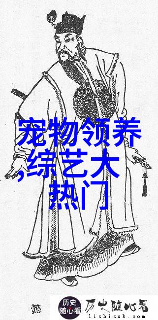 电视剧中的二胎故事家庭与爱的新篇章
