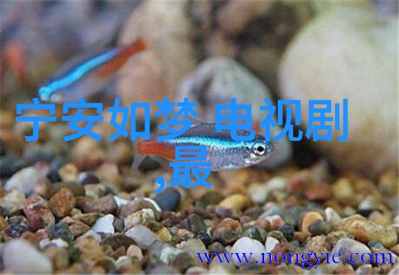 荫蒂日常被三位男士录制的性爱影片
