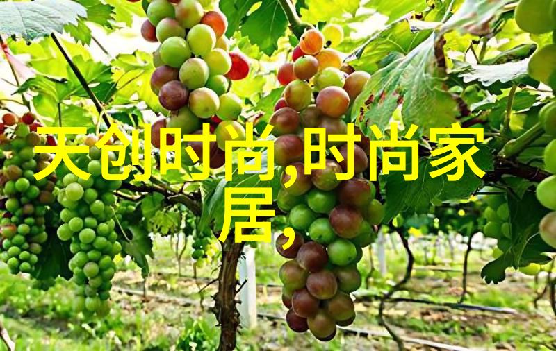 夏季时尚女装趋势解析轻盈与舒适并重