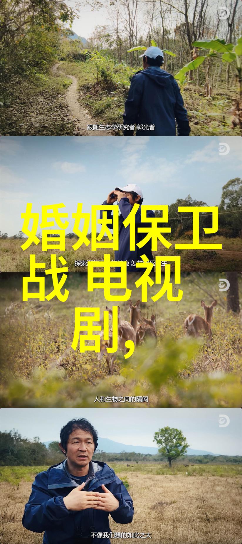 舒淇写真展捕捉时尚与美的瞬间