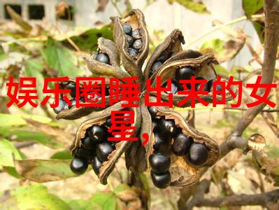 八卦与文化 - 解读八卦方位的深远意义天地人与自然界的和谐