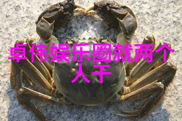 伪装者穿梭在谎言与真相之中