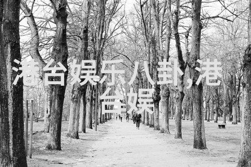 主题-免费美图宝库好看又免费的图片素材大集合