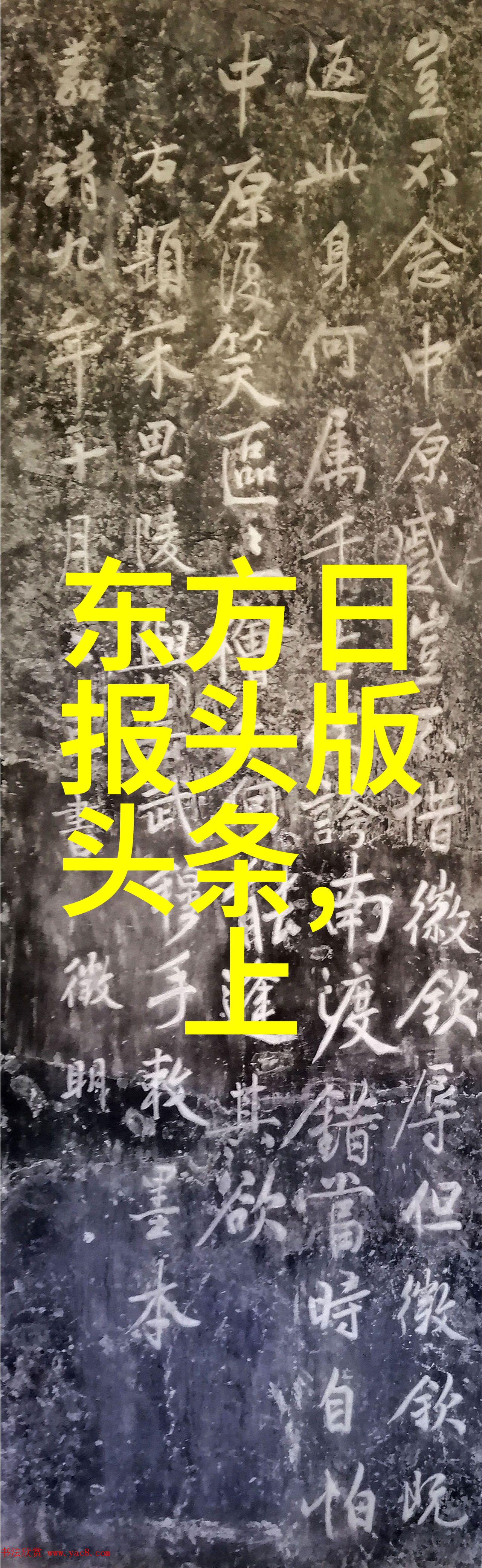 经济合作与竞争台湾企业家对中国市场的真实评价
