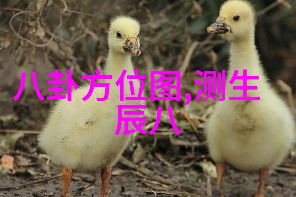 2022抖音十大网红排行榜火爆主播们的崛起与辉煌