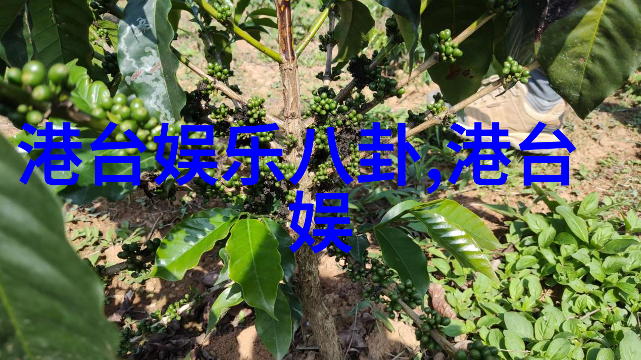 宅心灵韵揭秘家宅八卦风水的深邃之谜