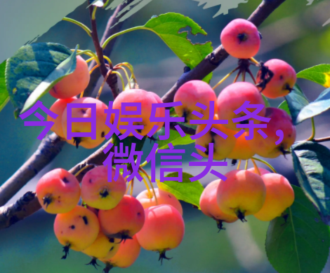 免费听音乐下载音乐从无声到有声的奇幻旅程